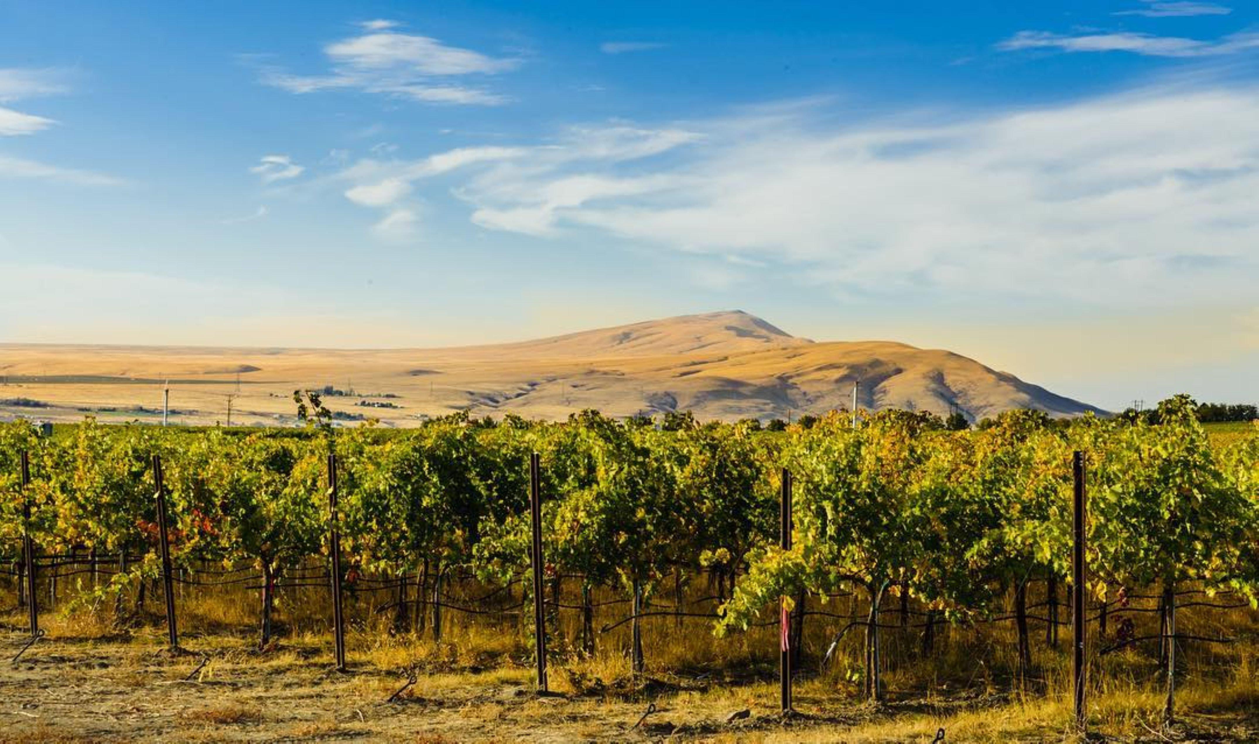 Holiday Inn Express & Suites - Union Gap - Yakima Area By Ihg Экстерьер фото
